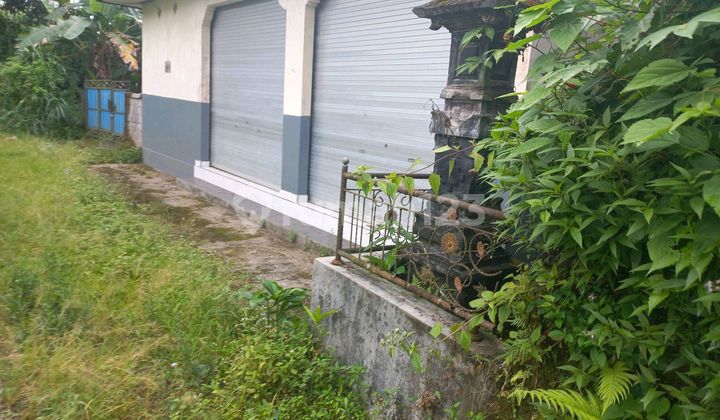 Tanah Indah Dengan Sawah Dan Pinggir Sungai Tanah Indah Dengan Sawah Dan Pinggir Sungai