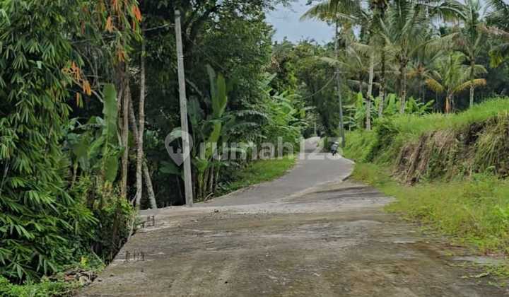 Beautiful Land Beautiful Land