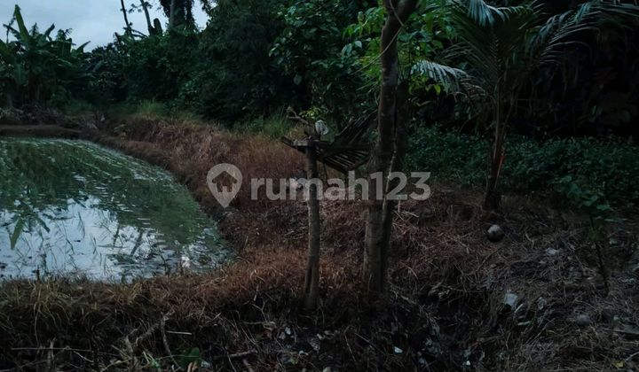Tanah Indah Dekat Pantai