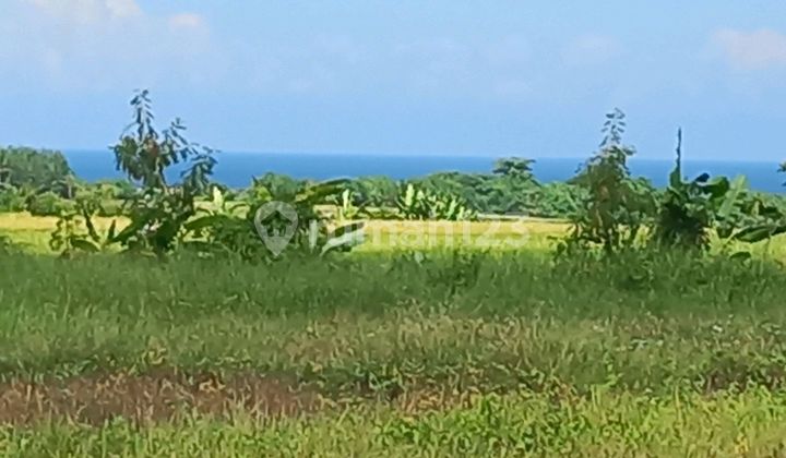 Tanah Indah Dengan Pemandangan Laut yang Menakjubkan Tanah Indah Dengan Pemandangan Laut yang Menakjubkan