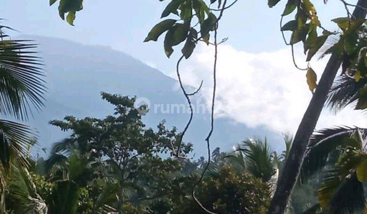 Beautiful Land With River Side And Rice Field View 2