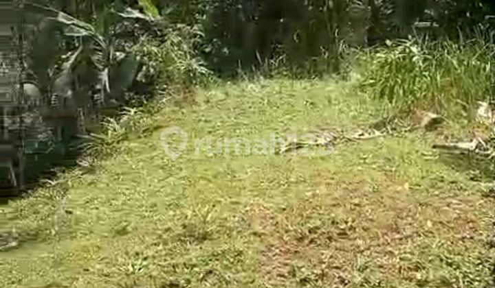 Beautiful Land With Jungle View 2