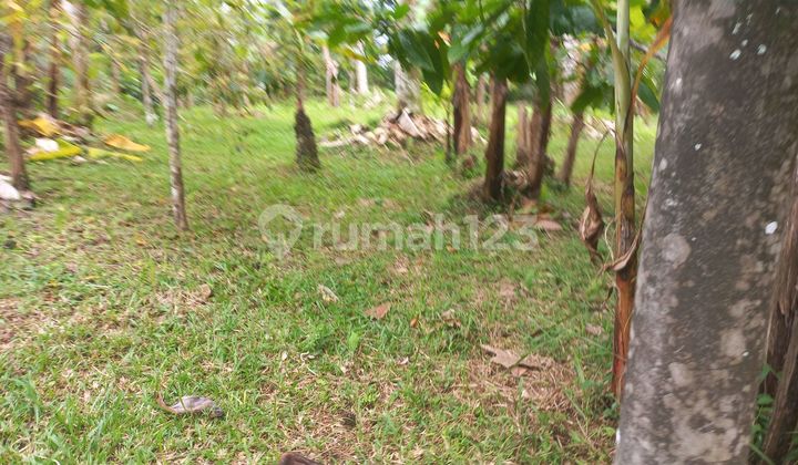 Beautiful Land Beautiful Land