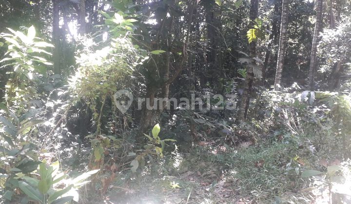 Beautiful Land With River Side