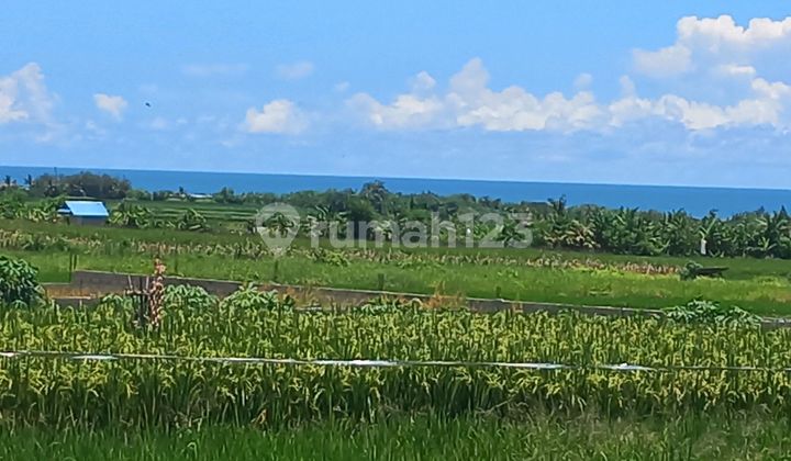 Beautiful Land With Amazing View