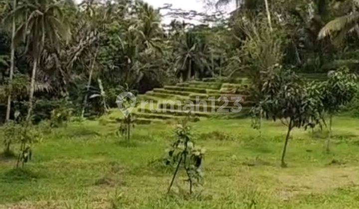 Beautiful Land Beautiful Land