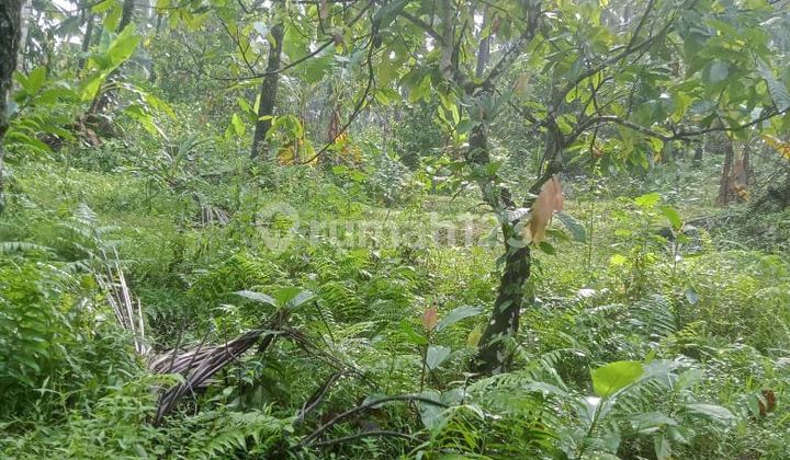 Beautiful Land With River Side