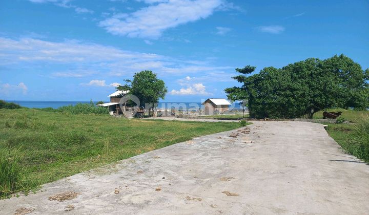 Beautiful Land Absolutly Beach Front