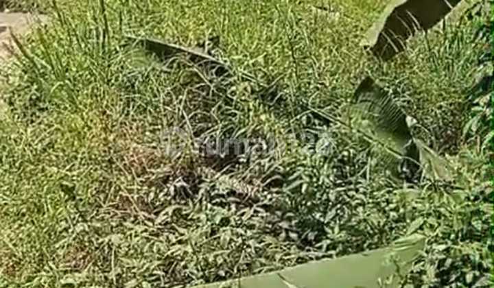 For Rent Commercial Land Plot Location on Alternative Cibubur Main Road Suitable for Padel For Rent Commercial Land Plot Location on Alternative Cibubur Main Road Suitable for Padel