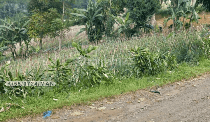 Tanah Dekat Ke Daerah Wisata Lembang Dago Cocok Bikin Villa 1