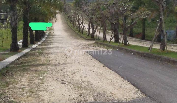 tanah di desa dauhwaru negara kabupaten jembrana bali 2