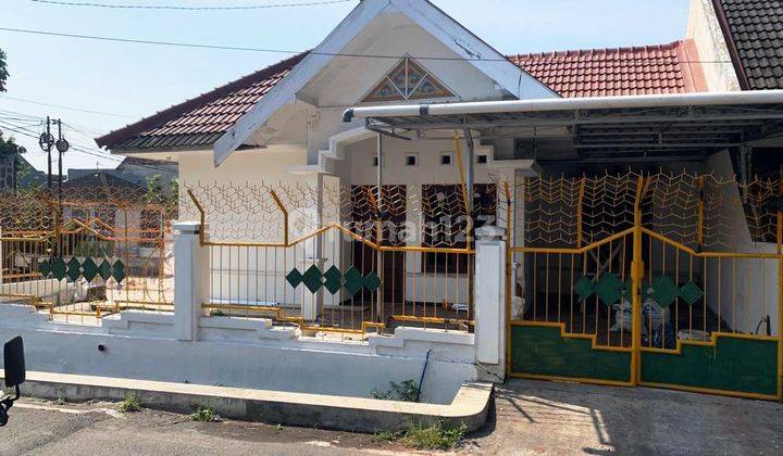 Rumah Besar Daerah Borobudur Blimbing Luas, Aman, Siap Pakai 1