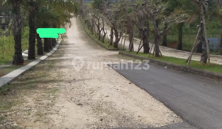 Land in Dauhwaru Village, Jembrana Regency, Bali Land in Dauhwaru Village, Jembrana Regency, Bali