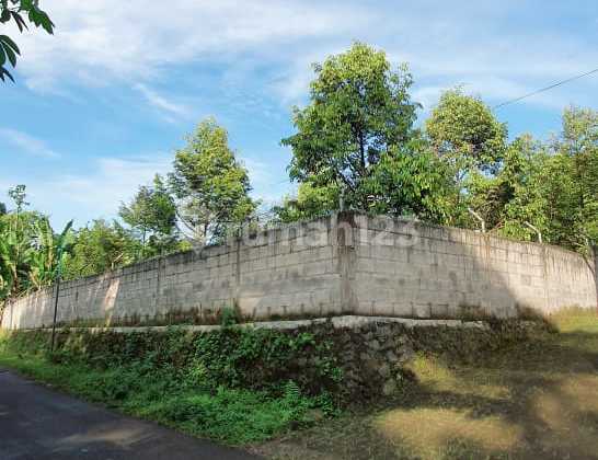 Tanah Dijual Kebun Durian di Gajahrejo Purwodadi Pasuruan