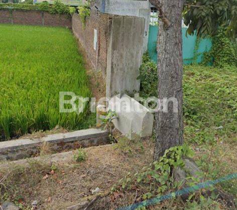 tanah dekat pabrik cocok u investasi ada pabrik aqua, dekat rumah sakit NU. 1