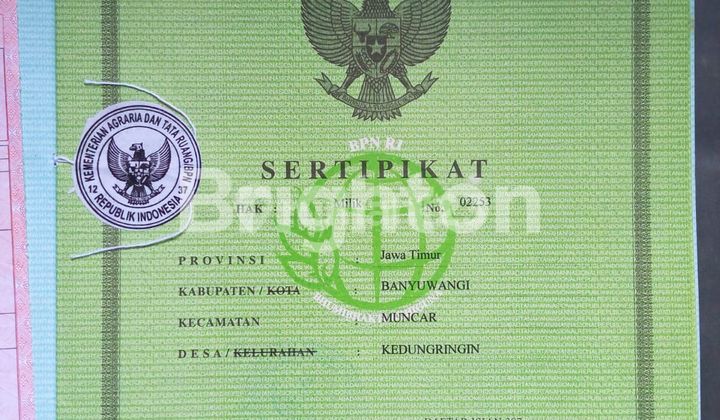 tanah strategis luas jual cepat murah. di kedungringin muncar banyuwangi. cocok u pabrik,gudang 2