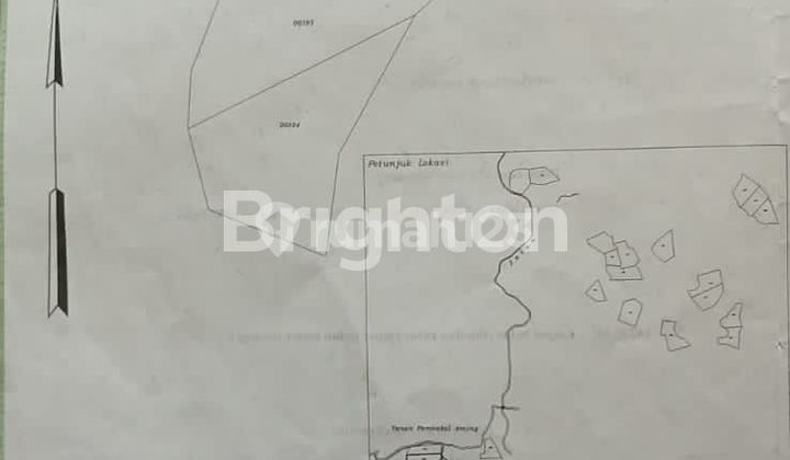 Large land in South Kalimantan district.