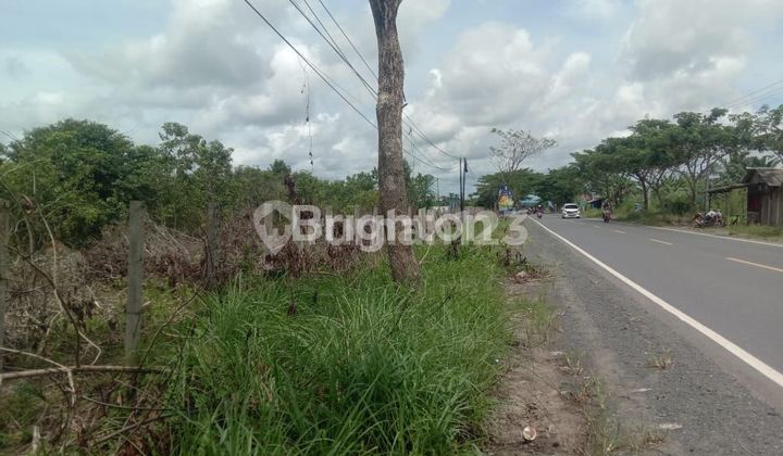 Large land in South Kalimantan, Banjarmasin.