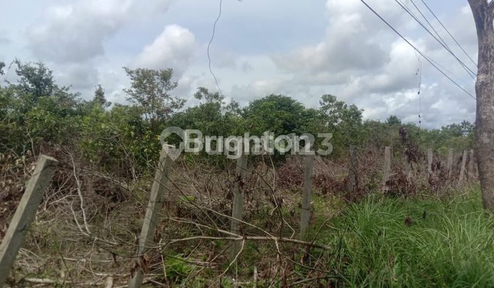 Large land in South Kalimantan, Banjarmasin.