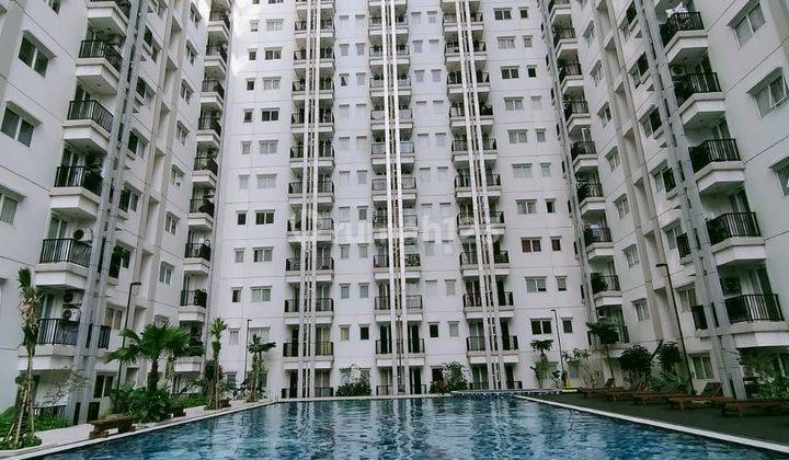kolam renang apartment 2 br signature park