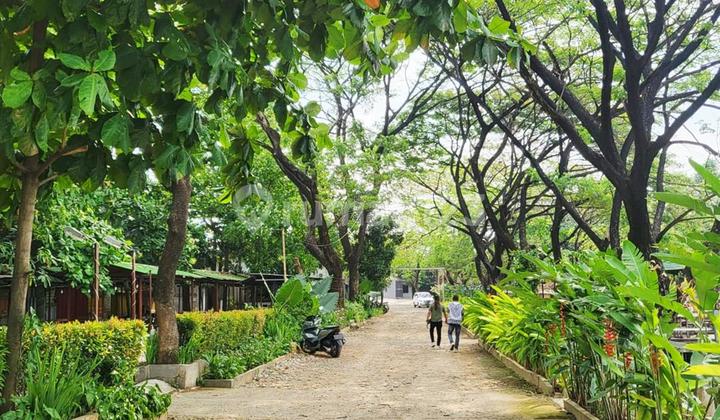 Prime land suitable for building a royal residence in South Bekasi. Prime land suitable for building a royal residence in South Bekasi.