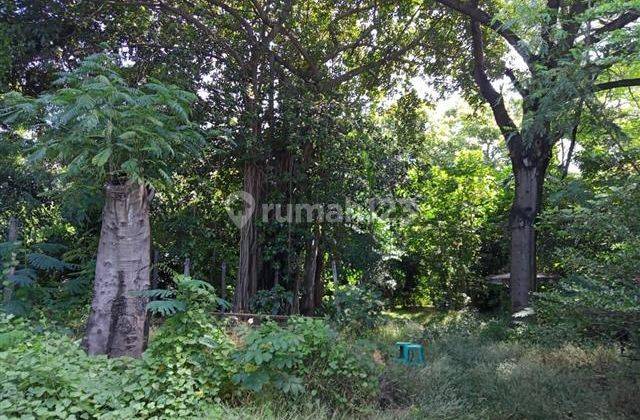 Tanah Kebon Dijual di Tambun Utara Bekasi SHM 23.730 m² 7