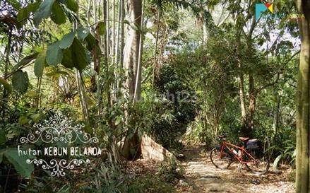 Tanah Kebon Dijual di Tambun Utara Bekasi SHM 23.730 m² 11