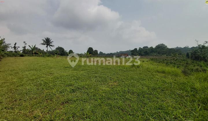 Tanah Luas Produktif Dijual di Wanayasa Purwakarta Jawa Barat