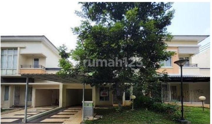 Phg Chrysocolla Rumah Bagus Dibawah Pasara 