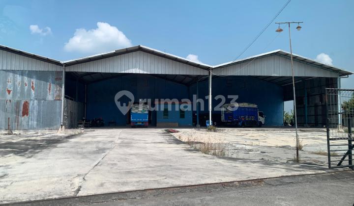 Dijual Cepat Tanah Dan Gudang Area Demak Dijual Cepat Tanah Dan Gudang Area Demak