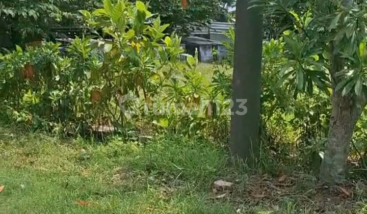 Jual Tanah Area Dinar Raya Elok Kecamatan Tembalang 2