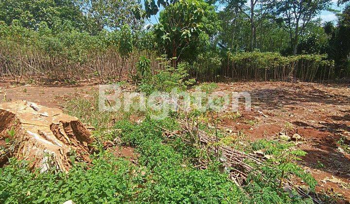 TANAH MULAWARMAN TEMBALANG JALAN DEKAT PERUMAHAN JALAN AMAN 2