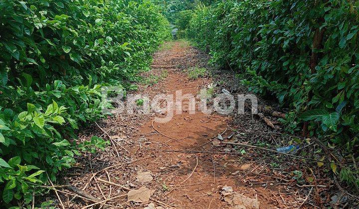 Lahan Undip Mulawarman Bisa Beli Separo Strategis 1