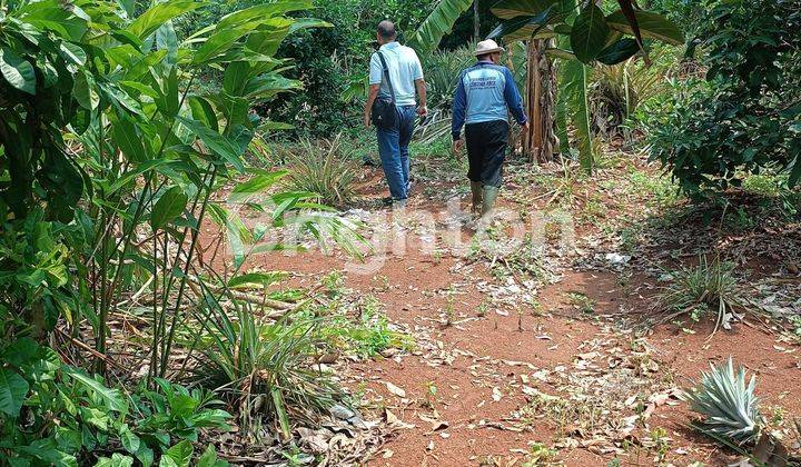 Lahan Undip Mulawarman Bisa Beli Separo Strategis 2