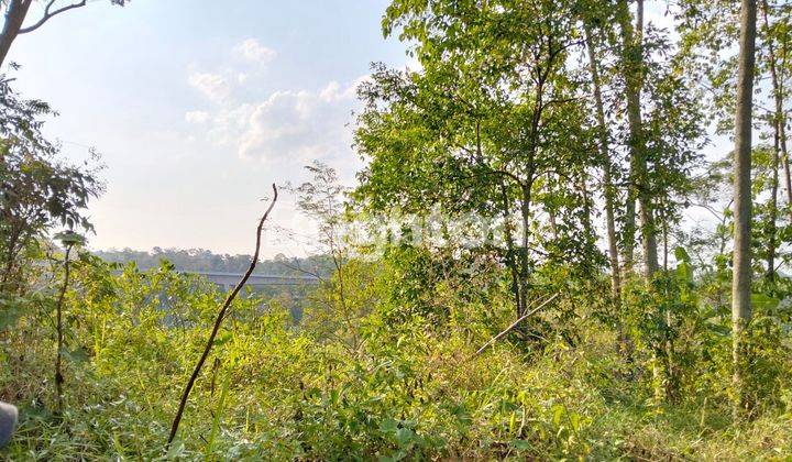 TANAH 300M2 DI BANYUMANIK SIAP BANGUN RUMAH 2