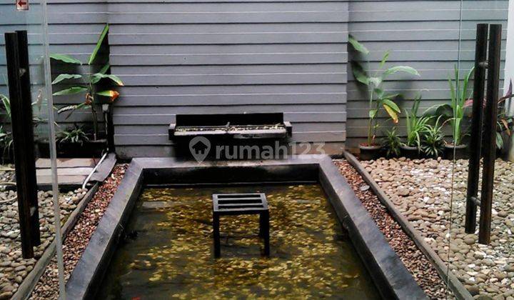 Disewakan Rumah Area Scbd 8