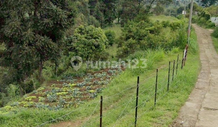 Jual Tanah Lembang Cikahuripan - View Cantik. Terasering. Sore Berkabut. Kalau Sewa 100jt - Sangat Murah Jual Tanah Lembang Cikahuripan - View Cantik. Terasering. Sore Berkabut. Kalau Sewa 100jt - Sangat Murah