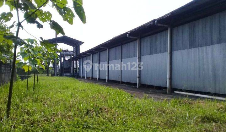 Turun Harga - Jual Gudang Sukabumi Ex Pabrik Plywood  - Luas Dan Siap Pakai . Ijin Aktif. Sangat Murah 1