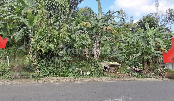Hot Sale Tanah Sayap Ciumbuleuit Strategis 2