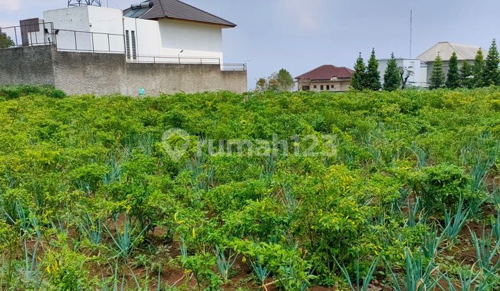 Jual Tanah Siap Bangun Setiabudi Regency Bandung Jual Tanah Siap Bangun Setiabudi Regency Bandung