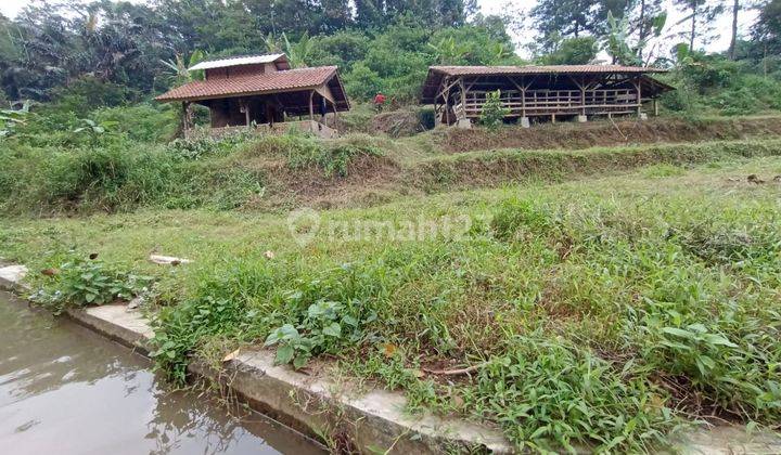 Dijual Cpt Tanah Cocok Buat Berkebun Berternak Area Ciater Subang 3