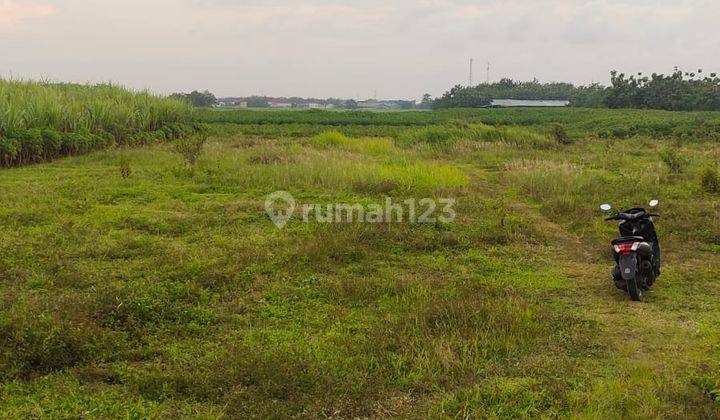 Tanah Industri Mayong Jepara Jawa Tengah  1