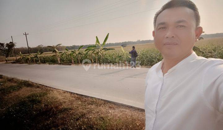 Jual Tanah Industri Murah Grobogan Jawa Tengah  2