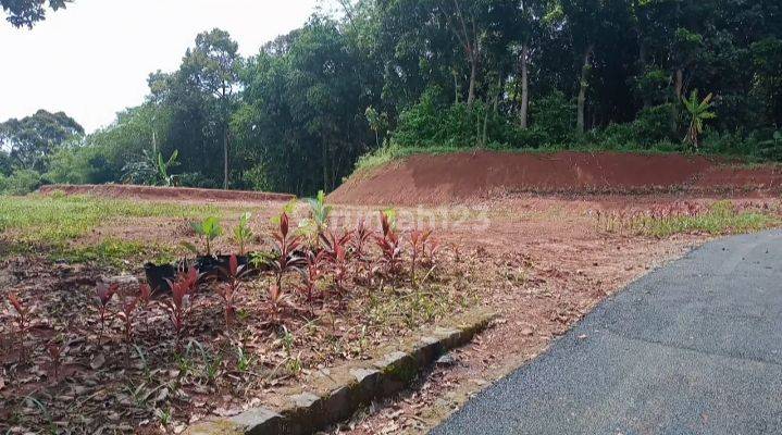 Jual Tanah Hak Milik  Di Gunungpati Semarang Selatan  2