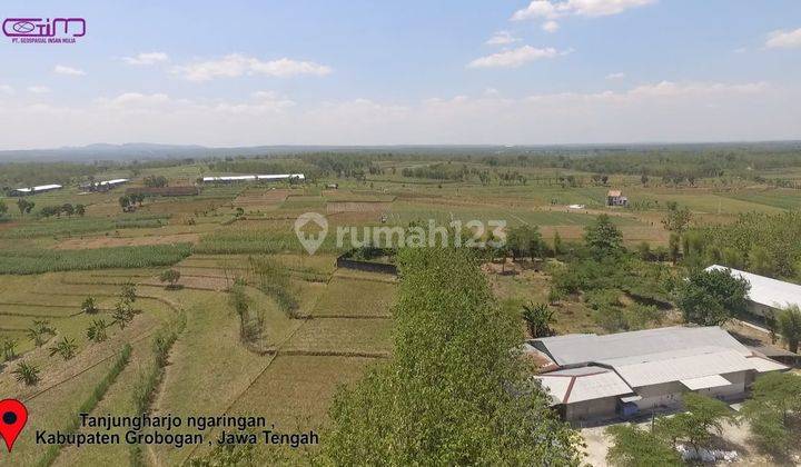 Jual Tanah Industri Jawa Tengah Grobogan  2