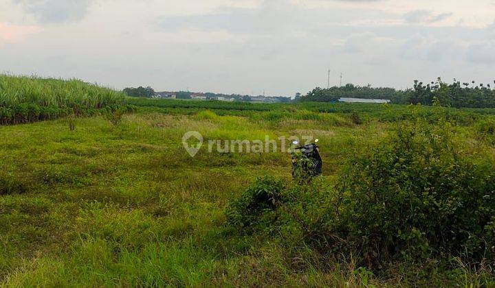 Tanah Industri Mayong Jepara Jawa Tengah  2