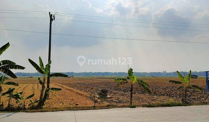 Jual Tanah Industri Murah Grobogan Jawa Tengah  2