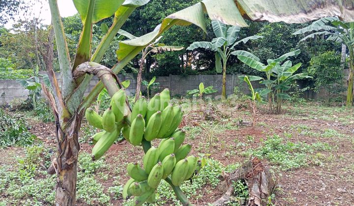 Cheap Ready-to-Build Plots in Pagedangan Tangerang