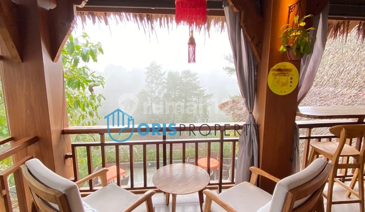 VILLA KINTAMANI - BALI ~ LT/LB 3430/2875 ~ INT&#39;L AWARD WINNING VILLAS ~ GOOD FOR INVESMENT 12