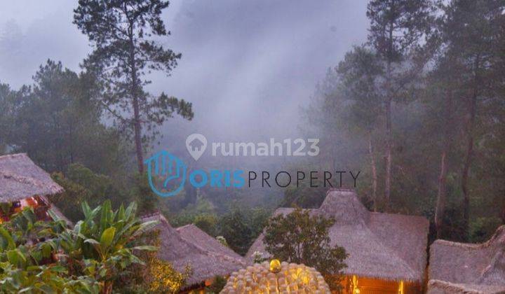 VILLA KINTAMANI - BALI ~ LT/LB 3430/2875 ~ INT&#39;L AWARD WINNING VILLAS ~ GOOD FOR INVESMENT 21